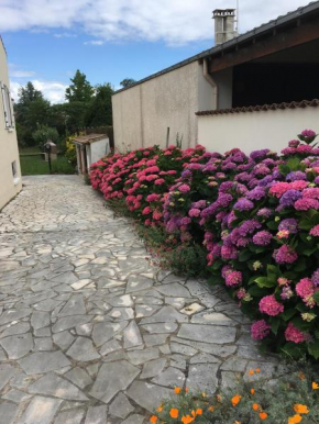 Studio Hortensias